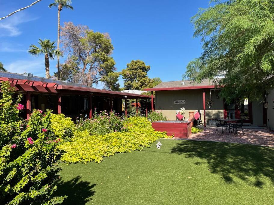 Encanto Cactus Flower Casita Phoenix Zewnętrze zdjęcie