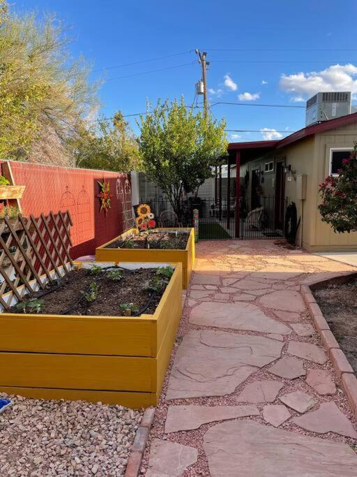 Encanto Cactus Flower Casita Phoenix Zewnętrze zdjęcie